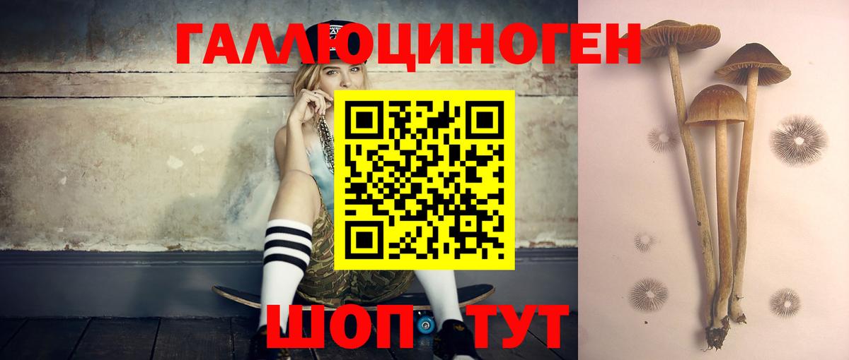 Псилоцибиновые грибы прущие грибы  Вход с VPN  даркнет сайт  Бердск 
