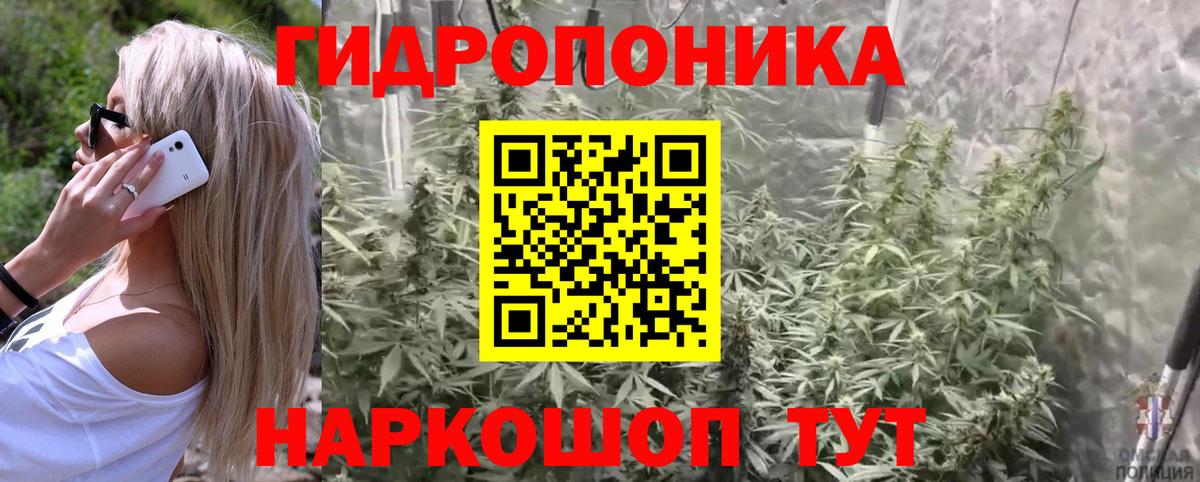 Бошки Шишки Bruce Banner Бердск